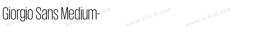 Giorgio Sans Medium字体转换